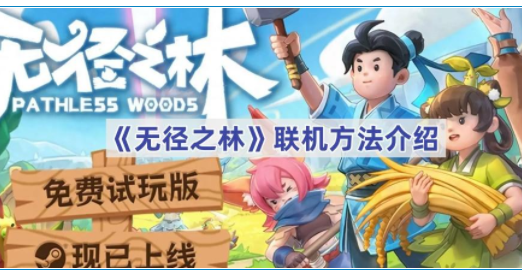 无径之林联机方法指南-无径之林如何进行联机