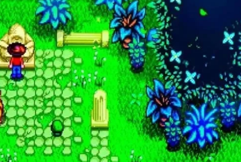 星露谷物语宝石甜莓获取攻略-星露谷物语宝石甜莓怎么获取